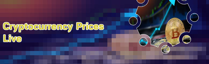 Bitcoin currency price