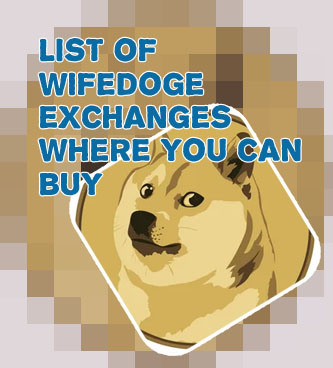 Buy wifedoge crypto