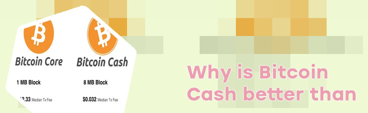 How much is bitcoin cash