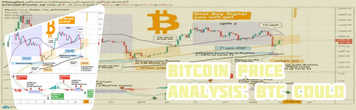 Live btc price