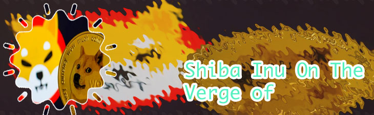 Price of shiba cryptocurrency